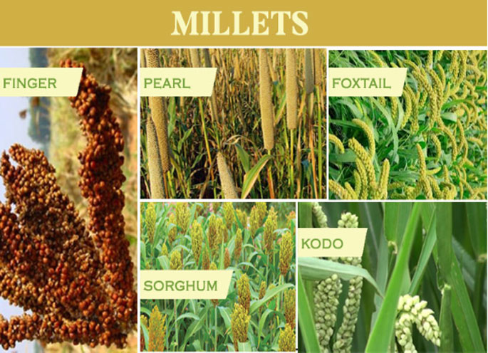 Millets