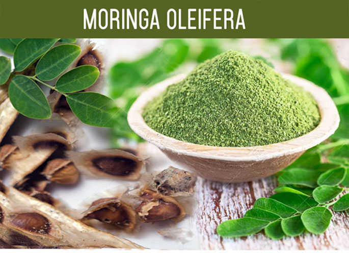 Moringa