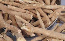 Indian Ginseng