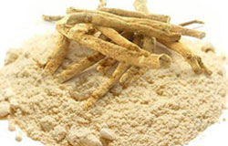 Indian Ginseng