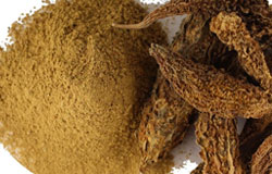 Karela Powder