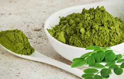 Moringa Leaves Powder