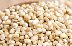 Quinoa Seed